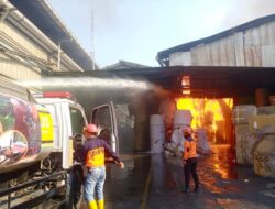 Tujuh Belas Damkar di Terjunkan Dalam Insiden Pabrik Kertas di Terban Kudus Yang Terbakar