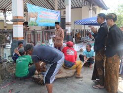Selenggarakan Kurban, Polres Demak Potong 6 Ekor Sapi dan 5 Ekor kambing
