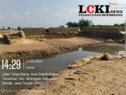 Virall..Ironisnya di Desa Tamansari Bengkok Disewakan Orang Luar desa 60 Juta Per- Tahun Untuk Usaha Pembuatan Bata Merah