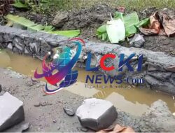 Sumber Dana dan Tujuan Belum Jelas ,Diduga Proyek Talud di Desa Tegalarum Tanpa Identitas